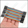 10cm Pin To Hole Jumper Wire Dupont Line 40 Male Female