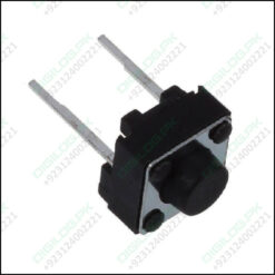 2 Pin Push Button Switch