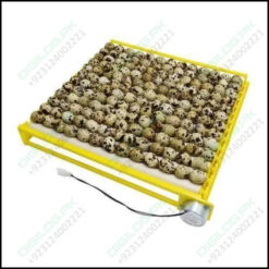 220v Egg Incubator Roller Tray Multifuntion 156 Birds Eggs